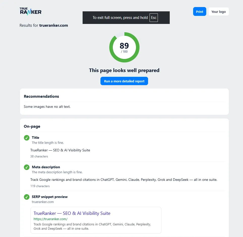 TrueRanker SEO Check detailed page report displaying an 89/100 on-page score, recommendations, and Google SERP preview.
